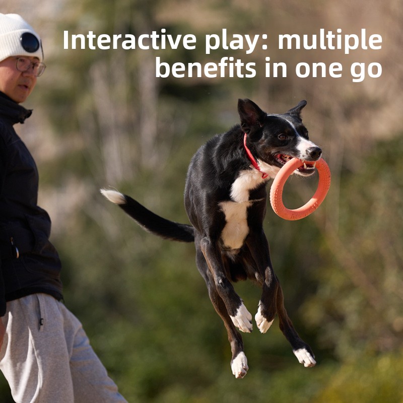 Bite-Resistant Soft Pull-Ring  - Frisbee Freestyle Disc review and price