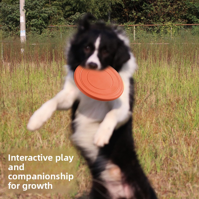 Soft Flying, Dog Toys Interact - Frisbee Freestyle Disc review and price