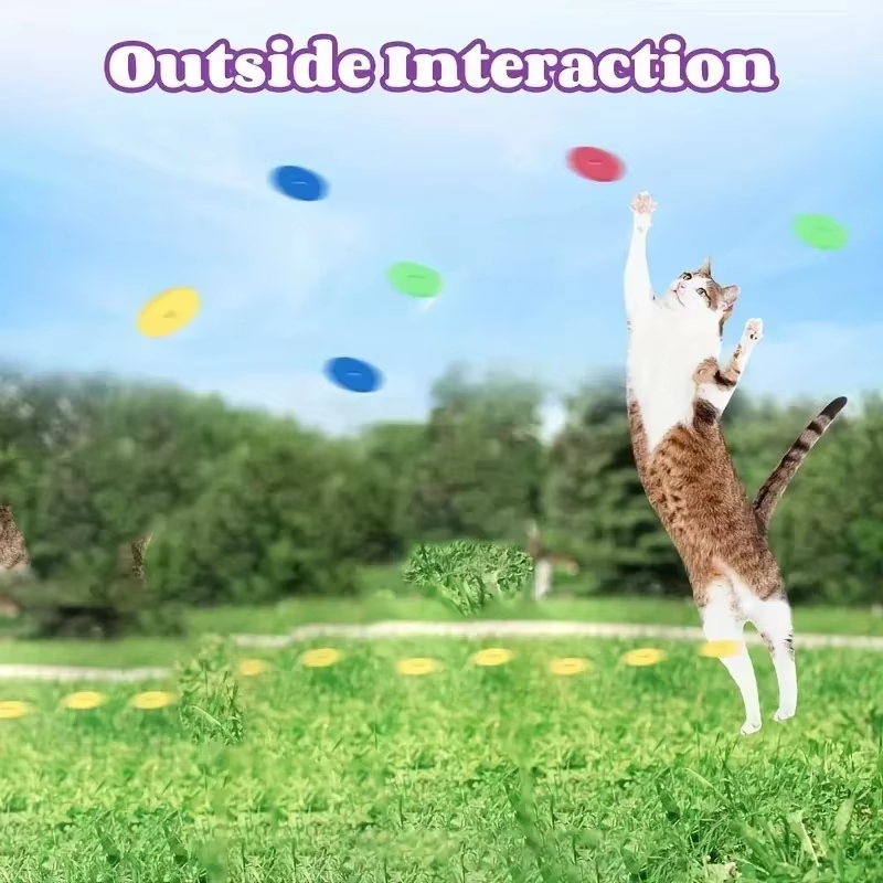 Funny Cat Toys Creative Turnip - Frisbee Freestyle Disc review and price