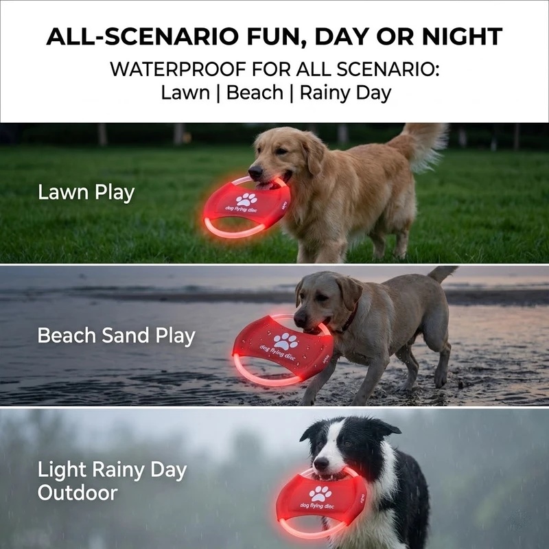 LED Glow Dog Flying Disc USB R - Frisbee Freestyle Disc review and price