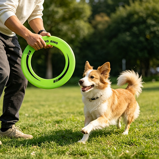 1PC Durable Hollow Ring Frisbe - Frisbee Freestyle Disc review and price